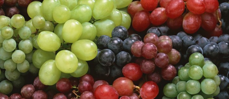 Hansı üzüm ən faydalıdır?