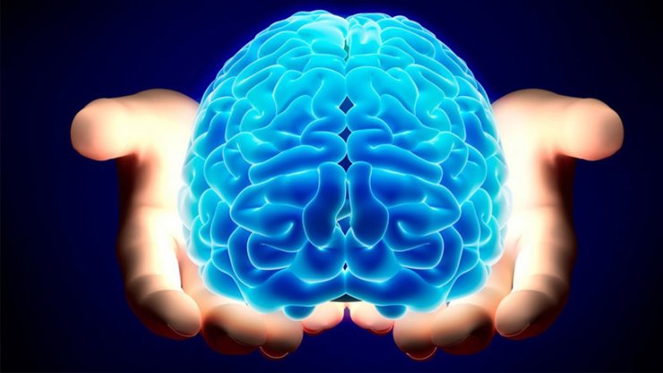İnsan beyni haqda bilmədiyimiz 6 maraqlı bilgi