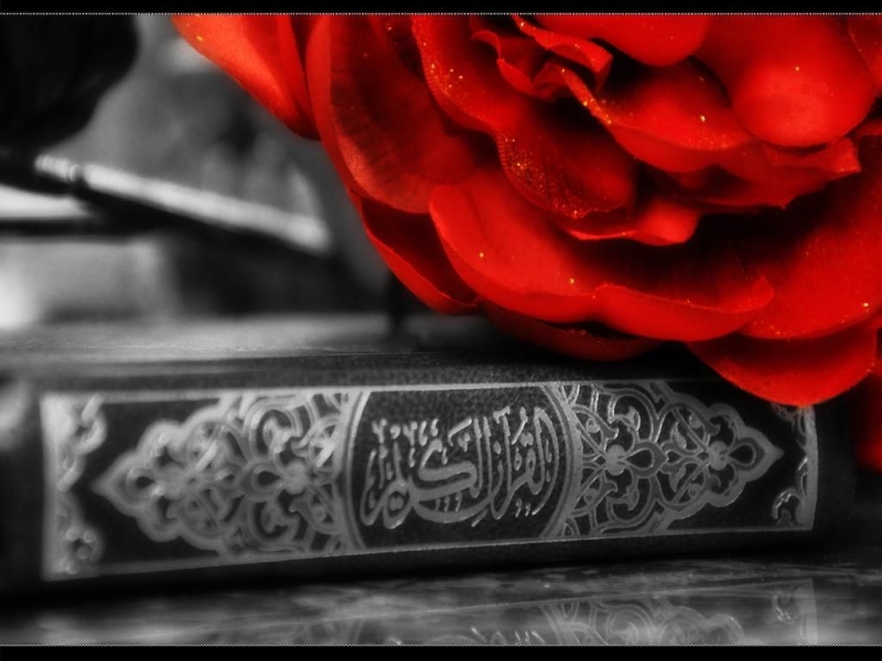 Quran insanın sağlamlığına necə təsir edir?