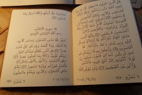 İsveçli xanım xəttat Qurani-Kərimi 20 il ərzində yazdı