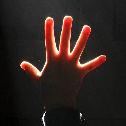 Müvəffəq olmağın rəmzi 5 hərfdən ibarətdir