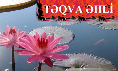 TƏQVA ƏHLİNİN ƏLAMƏTLƏRİ