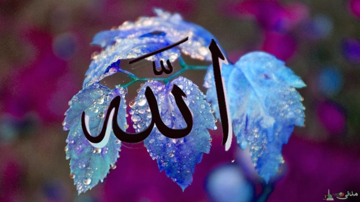 Allah ehtiyacsızdır. Bəs niyə insandan şükür etməsini istəmişdir?