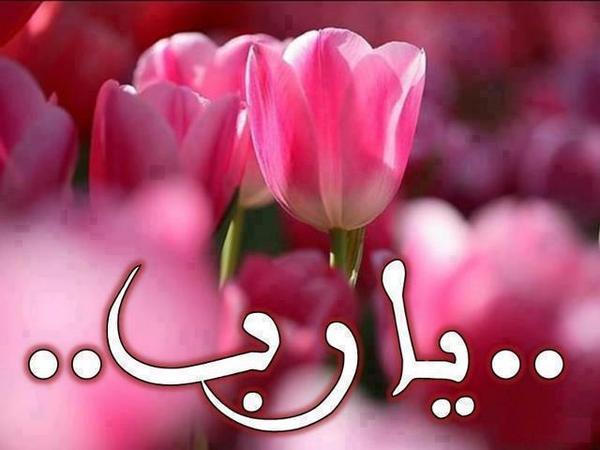 Niyə “Ya Rəbb” demirsən?