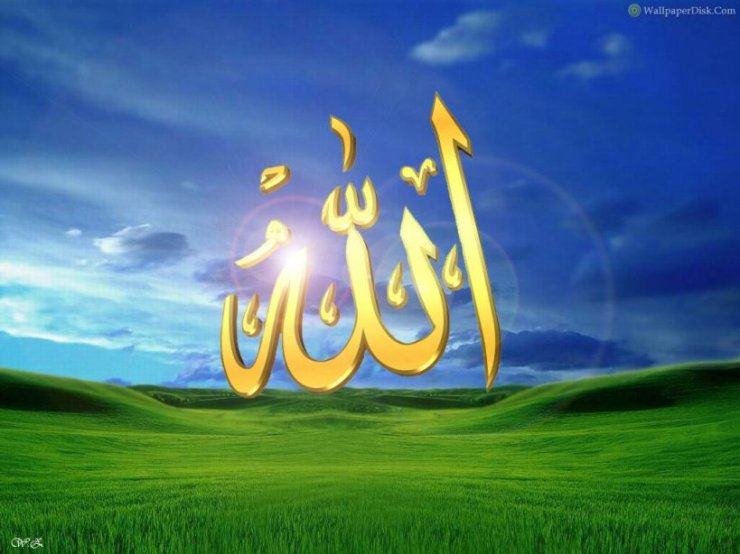İlahi tofiqat dedikdə nə nəzərdə tutulur?