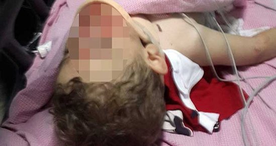 Səud rejimi qisasını 4 uşaq və analarından aldı 