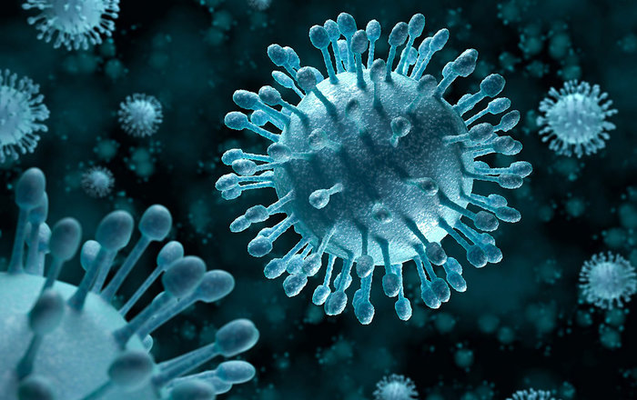 İnsan sağlamlığına faydalı 5 virus