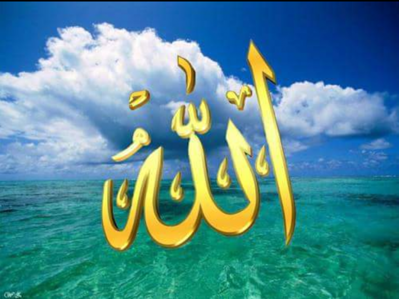 İslam dini təəssübkeşliyi qadağan edir