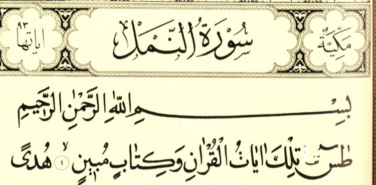 Allahın dostlarından olmaq istəyənlər bu surəni oxusun!