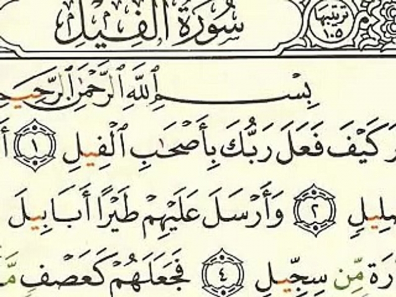 “Fil” surəsi necə nazil olub? “Fil” surəsini oxumağın savabı