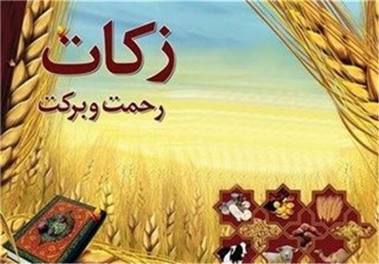Xüms və Zəkatın cismani faydaları