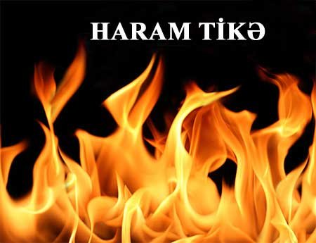 HALAL VƏ HARAM YEMƏKLƏR