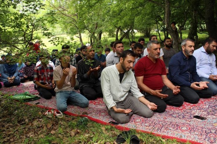 Müəllim və tələbə kollektivi istirahətdə (14-06-2015,)