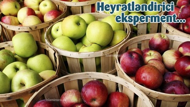 Alma və ömrün uzanması
