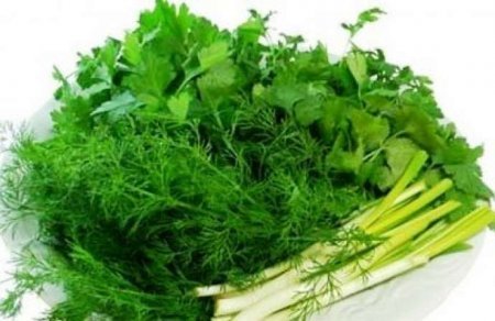 Yaşıl rəngli qidaların sağlamlığa faydaları