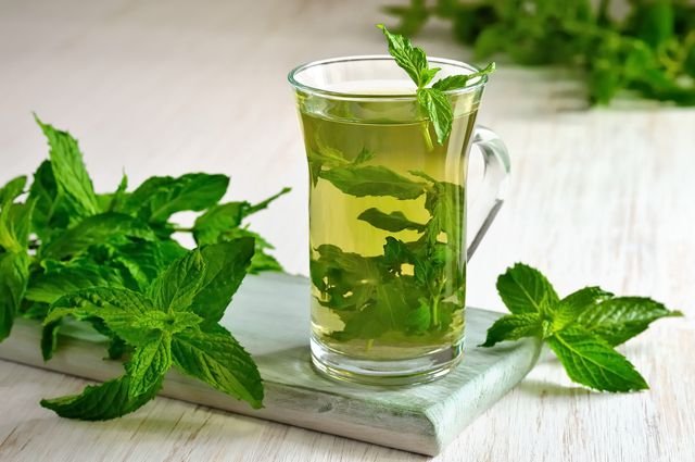 Nanə çayının faydaları