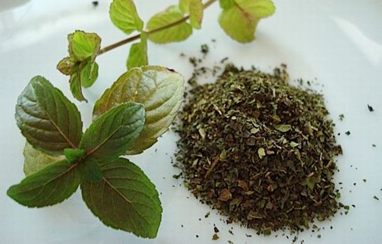 Quru nanənin inanılmaz faydaları