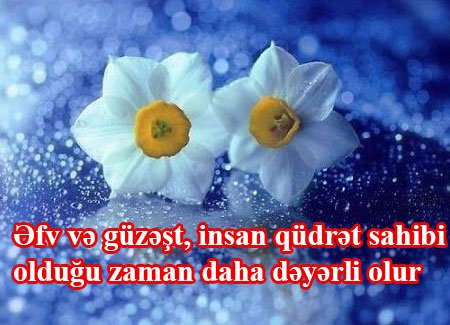 İMAM SƏCCADIN (Ə) ƏKSÜL-ƏMƏLİ