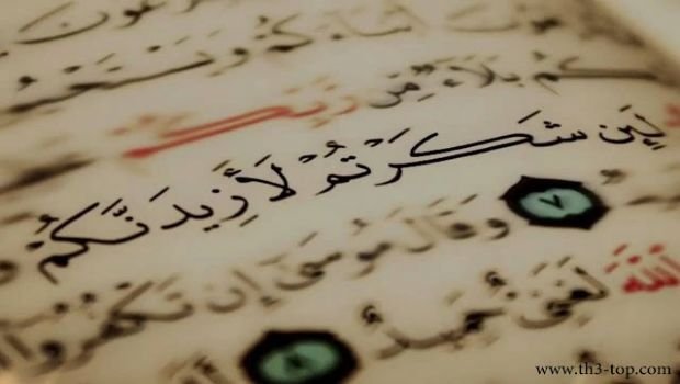 İnsanların axtardığı 6 nemət və onların yerləşdiyi yer